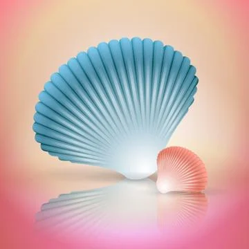 Big and small seashells Stock Illustration