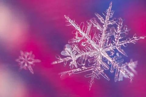 Big and small snow flake on colorful background Stock Photos