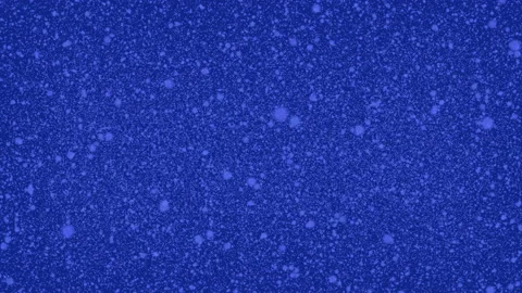 Big and small snowflakes fall down. Blue background Stock Footage 120735878