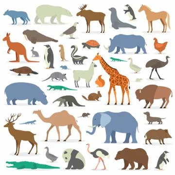 Big Animals Set Stock Illustration