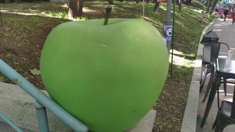 Big apple Stock Footage 155629886