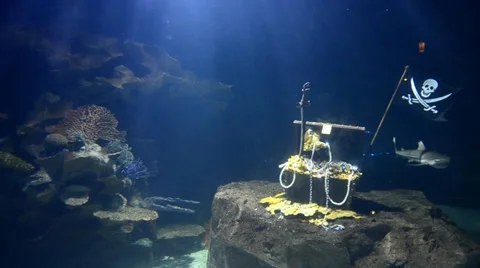 Big aquarium simulations undersea and shark swimming in side Stock Footage 32304308