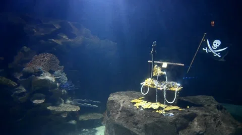 Big aquarium simulations undersea (no fish) Stock Footage 32303801