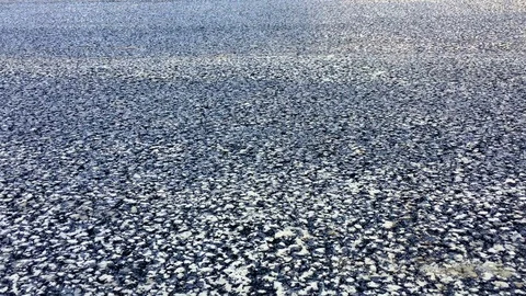 Big asphalt roller extreme closeup Stock Footage 82368552
