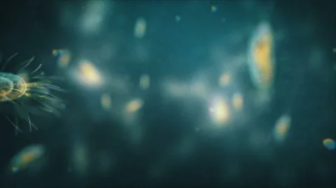 Big bacterium swimming under the microscope. Loop. Blue. Stock Footage 68862112