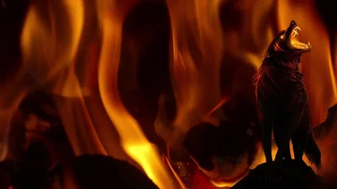 Big bad wolf in a burning forest Stock Footage 134208082