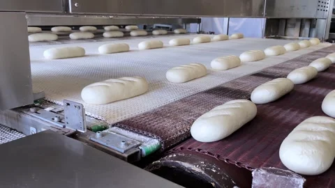 Big bakery bread industrial production line. Stock Footage 252116253