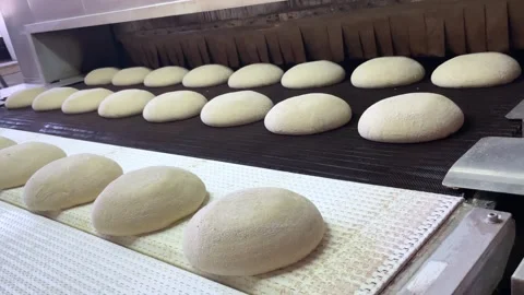 Big bakery bread industrial production line. Stock Footage 252116584