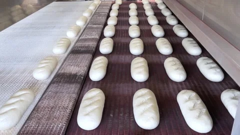 Big bakery bread industrial production line. Stock Footage 252116632
