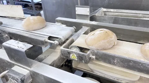 Big bakery bread industrial production line. Stock Footage 252116791