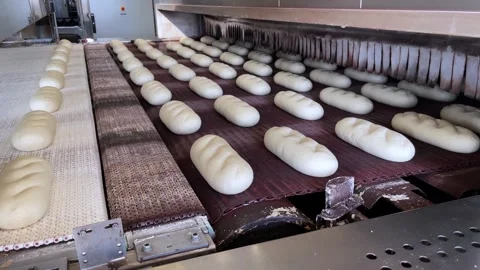 Big bakery bread industrial production line. Stock Footage 252117104