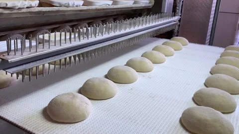 Big bakery bread industrial production line. Stock Footage 252117215