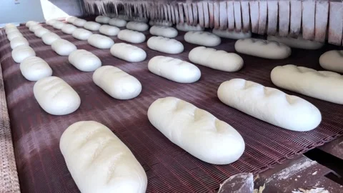 Big bakery bread industrial production line. Stock Footage 252117358