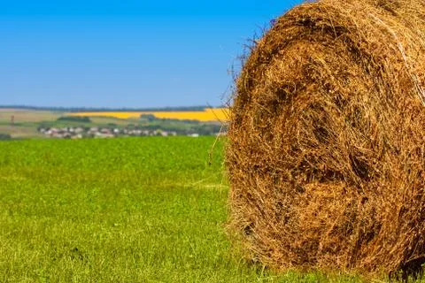 Big bale of straw Stock Photos