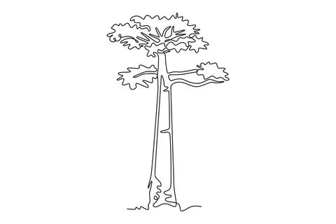 Big baobab tree logo. Decorative adansonia digitata plant Stock Illustration