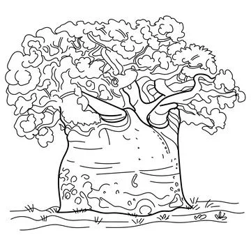 Big Baobab Tree in Madagascar Stock Illustration
