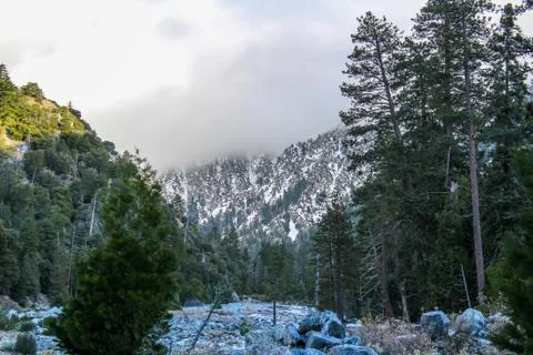 Big Bear Canyon Stock Photos