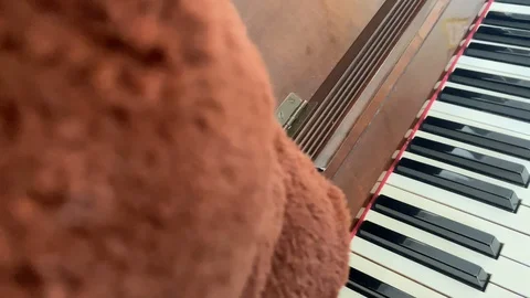 A big bear looking for a piano. How can I play it? May you teach me please? 库存影片 128776432