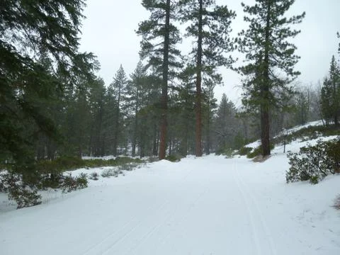 Big Bear Snow Foto stock