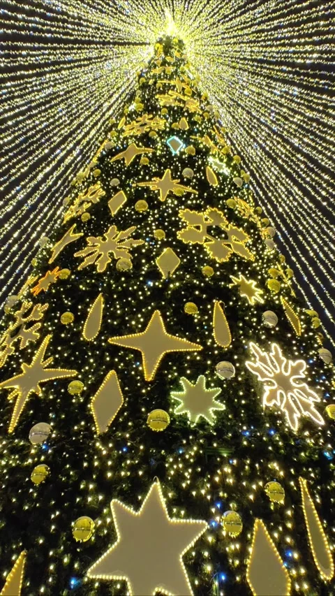 Big beautiful Christmas tree with decorations and Illuminations in night. Stock-Footage 294032514