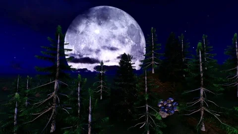 Big beautiful Moon over pine tree at mountain Stock Footage 85218028