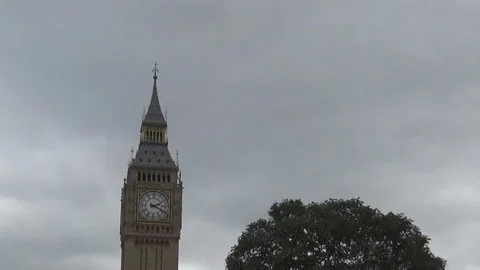 Big ben and a tree Stock Footage 86685126