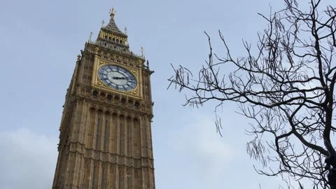 Big Ben Clock Tower Close Up with Tree Branches in London Stock Footage 332548076