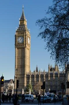Big Ben with tree in foregound Foto stock