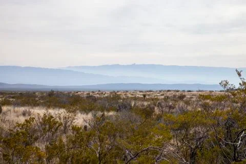 Big Bend Landscape 写真素材