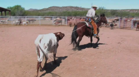 Big Bend Ranch 1 Stock Footage 23337773