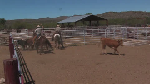 Big Bend Ranch 3 Stock Footage 23337594