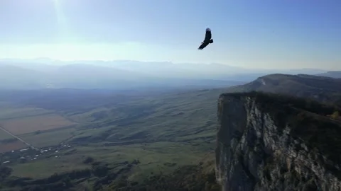 A big bird flies over the mountains Stock Footage 170904332