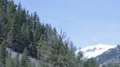 Big Bird Taking Off Stock Footage 22957209