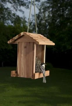 Big bite Stock-Fotos