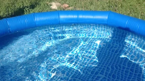 Big Black Natrix ringed water snake swims in Clear water of Blue Swimming Pool 6 Stock Footage 167967914