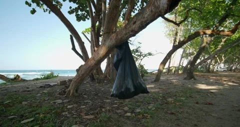 Big black plastic bag with garbage hanging on tree near Ocean. Stock Footage 270544958