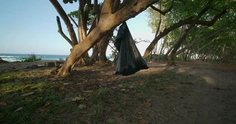 Big black plastic bag with garbage hanging on tree near Ocean. Video stock 270563627