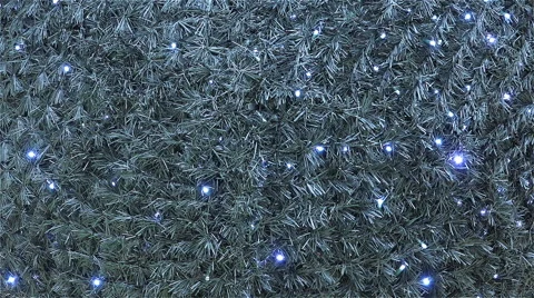 Big black tree garland flashes fluffed their needles Stock Footage 44338153