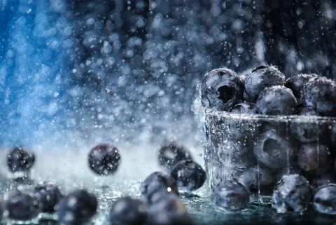 Big blueberries in a plastic box closeup under the water drops Stock Footage 131188595