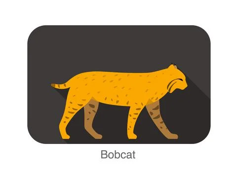 Big bobcat walking side flat 3D icon design Stock Illustration