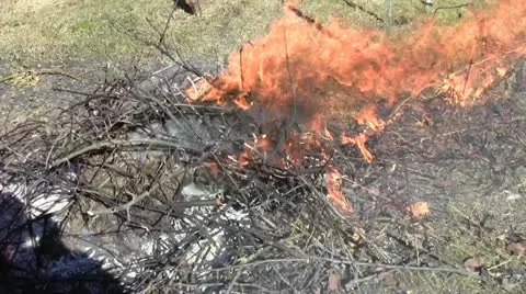 Big bonfire - burning dry branches Stock Footage 22741119