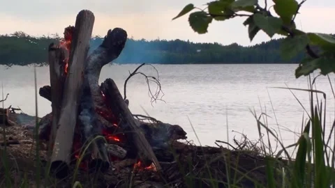 A Big Bonfire Burning On The Lakeside. Camping Or Bbq Bonfire Outdoor Stock Footage 264760119