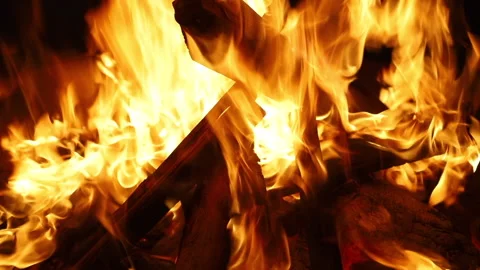 Big bonfire is burning in nature Stock Footage 166628560