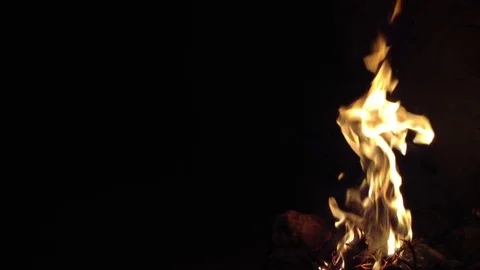 Big Bonfire burning spruce cones in the dark cave .  Around View Stock Footage 73678998