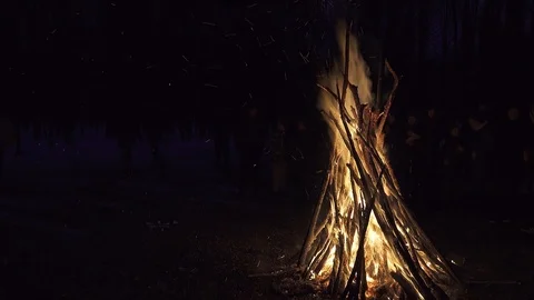 Big bonfire burns in the dark of the night Stock Footage 112216749