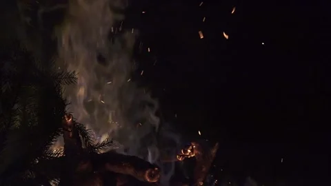 Big bonfire burns in the dark of the night Stock Footage 141420481