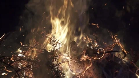 Big bonfire burns in the dark of the night Stock Footage 141528409