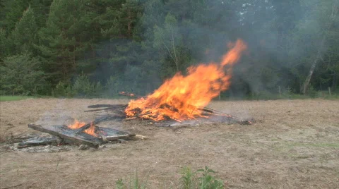 Big Bonfire Stockbeeldmateriaal 731662