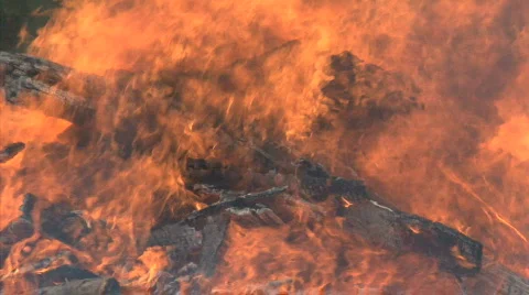 Big Bonfire Video stock 731672