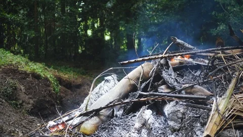 Big bonfire in the jungle Stock Footage 101631733